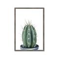 Picture of Cactus     _GroupedProduct_Rectangle_Portrait_Framed_Matted_