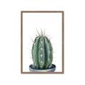 Picture of Cactus     _GroupedProduct_Rectangle_Portrait_Framed_Matted_