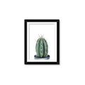 Picture of Cactus     _GroupedProduct_Rectangle_Portrait_Framed_Matted_