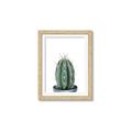 Picture of Cactus     _GroupedProduct_Rectangle_Portrait_Framed_Matted_