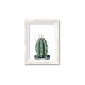 Picture of Cactus     _GroupedProduct_Rectangle_Portrait_Framed_Matted_