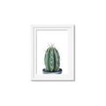 Picture of Cactus     _GroupedProduct_Rectangle_Portrait_Framed_Matted_