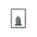 Picture of Cactus     _GroupedProduct_Rectangle_Portrait_Framed_Matted_