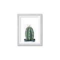 Picture of Cactus     _GroupedProduct_Rectangle_Portrait_Framed_Matted_