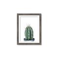 Picture of Cactus     _GroupedProduct_Rectangle_Portrait_Framed_Matted_