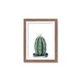 Picture of Cactus     _GroupedProduct_Rectangle_Portrait_Framed_Matted_