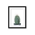 Picture of Cactus     _GroupedProduct_Rectangle_Portrait_Framed_Matted_