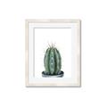 Picture of Cactus     _GroupedProduct_Rectangle_Portrait_Framed_Matted_