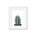 Picture of Cactus     _GroupedProduct_Rectangle_Portrait_Framed_Matted_