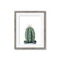 Picture of Cactus     _GroupedProduct_Rectangle_Portrait_Framed_Matted_