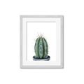 Picture of Cactus     _GroupedProduct_Rectangle_Portrait_Framed_Matted_