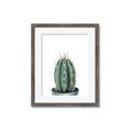 Picture of Cactus     _GroupedProduct_Rectangle_Portrait_Framed_Matted_