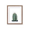 Picture of Cactus     _GroupedProduct_Rectangle_Portrait_Framed_Matted_
