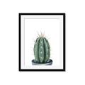 Picture of Cactus     _GroupedProduct_Rectangle_Portrait_Framed_Matted_