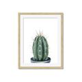 Picture of Cactus     _GroupedProduct_Rectangle_Portrait_Framed_Matted_