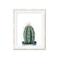 Picture of Cactus     _GroupedProduct_Rectangle_Portrait_Framed_Matted_