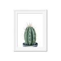 Picture of Cactus     _GroupedProduct_Rectangle_Portrait_Framed_Matted_