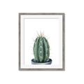 Picture of Cactus     _GroupedProduct_Rectangle_Portrait_Framed_Matted_