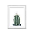 Picture of Cactus     _GroupedProduct_Rectangle_Portrait_Framed_Matted_