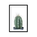 Picture of Cactus     _GroupedProduct_Rectangle_Portrait_Framed_Matted_
