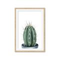 Picture of Cactus     _GroupedProduct_Rectangle_Portrait_Framed_Matted_