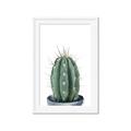 Picture of Cactus     _GroupedProduct_Rectangle_Portrait_Framed_Matted_