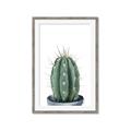 Picture of Cactus     _GroupedProduct_Rectangle_Portrait_Framed_Matted_