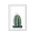 Picture of Cactus     _GroupedProduct_Rectangle_Portrait_Framed_Matted_