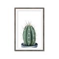 Picture of Cactus     _GroupedProduct_Rectangle_Portrait_Framed_Matted_