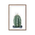 Picture of Cactus     _GroupedProduct_Rectangle_Portrait_Framed_Matted_