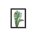 Picture of Snake Leaves _GroupedProduct_Rectangle_Portrait_Framed_Matted_