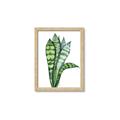 Picture of Snake Leaves _GroupedProduct_Rectangle_Portrait_Framed_Matted_
