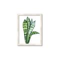 Picture of Snake Leaves _GroupedProduct_Rectangle_Portrait_Framed_Matted_
