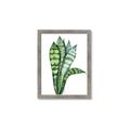 Picture of Snake Leaves _GroupedProduct_Rectangle_Portrait_Framed_Matted_