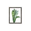 Picture of Snake Leaves _GroupedProduct_Rectangle_Portrait_Framed_Matted_
