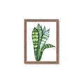 Picture of Snake Leaves _GroupedProduct_Rectangle_Portrait_Framed_Matted_