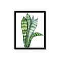 Picture of Snake Leaves _GroupedProduct_Rectangle_Portrait_Framed_Matted_