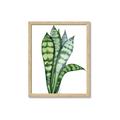 Picture of Snake Leaves _GroupedProduct_Rectangle_Portrait_Framed_Matted_