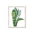 Picture of Snake Leaves _GroupedProduct_Rectangle_Portrait_Framed_Matted_