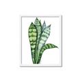 Picture of Snake Leaves _GroupedProduct_Rectangle_Portrait_Framed_Matted_