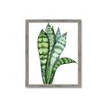 Picture of Snake Leaves _GroupedProduct_Rectangle_Portrait_Framed_Matted_