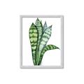 Picture of Snake Leaves _GroupedProduct_Rectangle_Portrait_Framed_Matted_