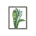 Picture of Snake Leaves _GroupedProduct_Rectangle_Portrait_Framed_Matted_
