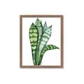 Picture of Snake Leaves _GroupedProduct_Rectangle_Portrait_Framed_Matted_