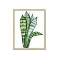 Picture of Snake Leaves _GroupedProduct_Rectangle_Portrait_Framed_Matted_