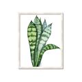 Picture of Snake Leaves _GroupedProduct_Rectangle_Portrait_Framed_Matted_