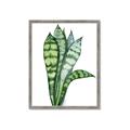 Picture of Snake Leaves _GroupedProduct_Rectangle_Portrait_Framed_Matted_