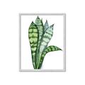 Picture of Snake Leaves _GroupedProduct_Rectangle_Portrait_Framed_Matted_