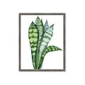 Picture of Snake Leaves _GroupedProduct_Rectangle_Portrait_Framed_Matted_