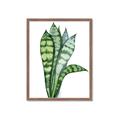 Picture of Snake Leaves _GroupedProduct_Rectangle_Portrait_Framed_Matted_